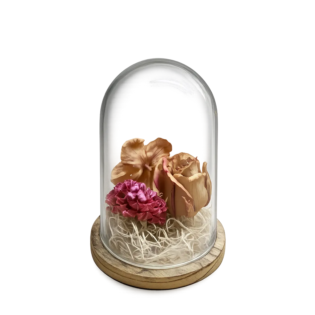 Eternal Rose dome